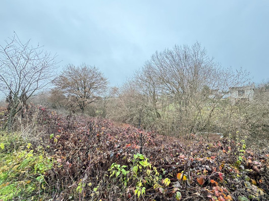 Купить  участок